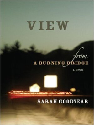 cover image of VIEW FROM a BURNING BRIDGE